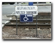 [Click to enlarge]